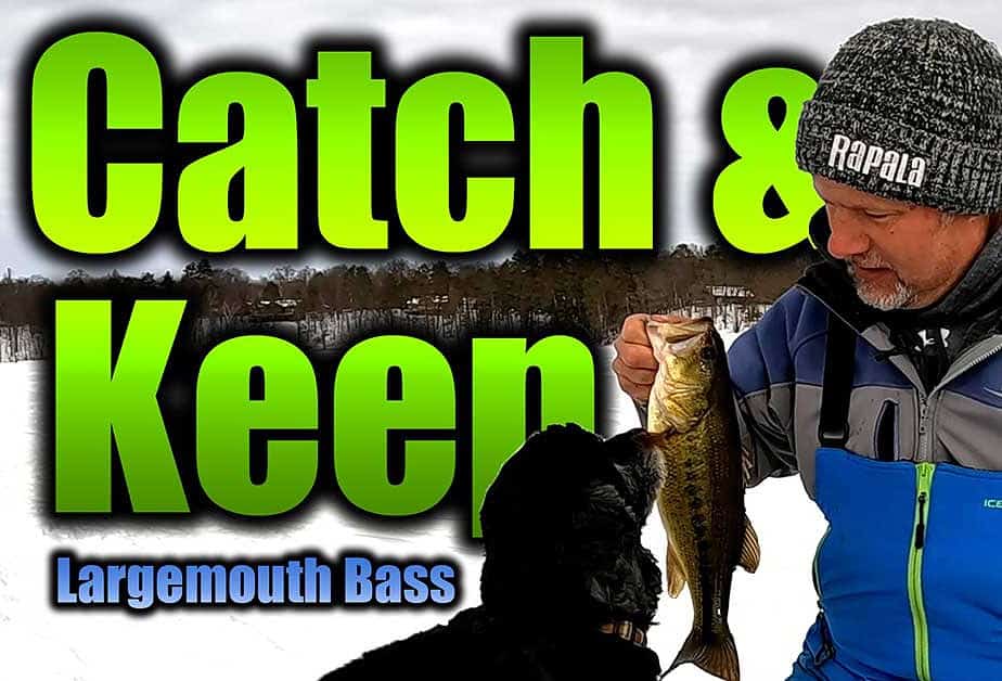 Catch And Cook Largemouth Bass AnglingBuzz