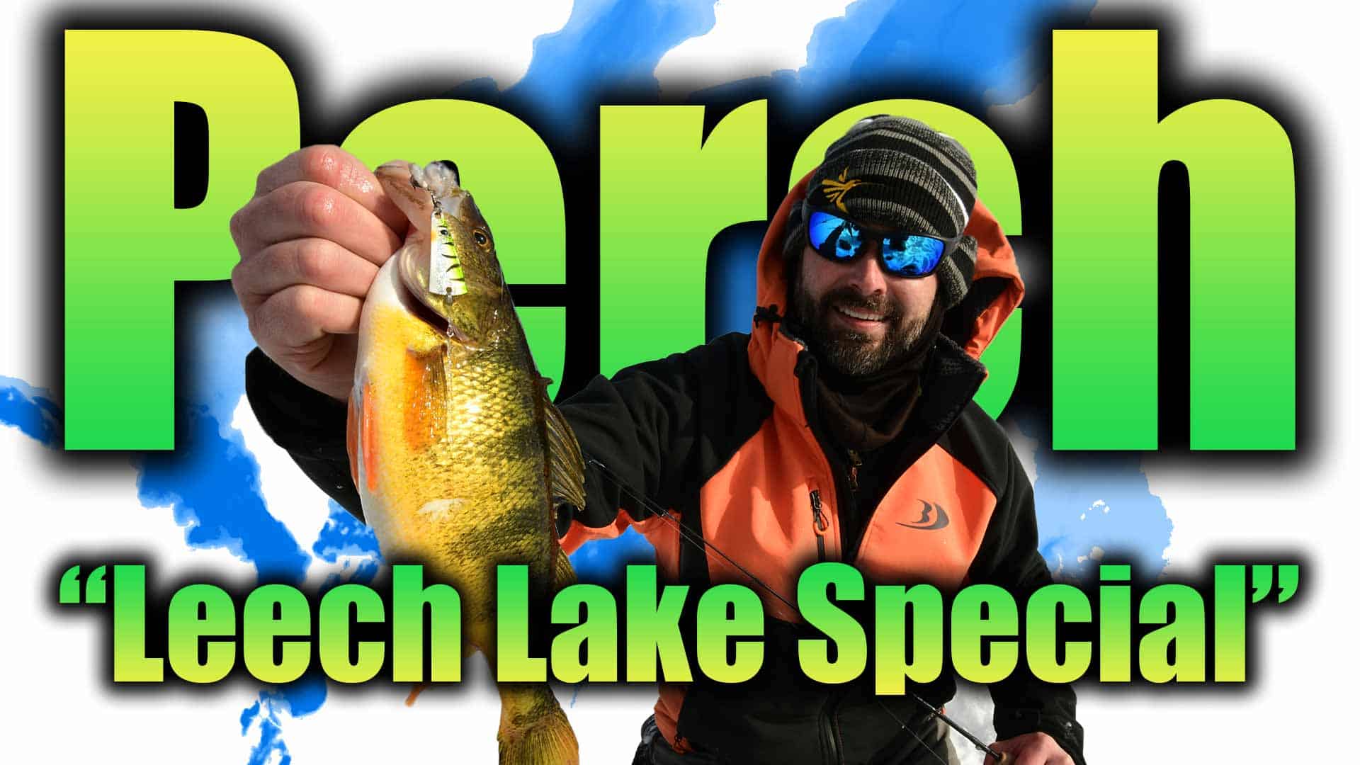 Leech Lake Perch Fishing AnglingBuzz