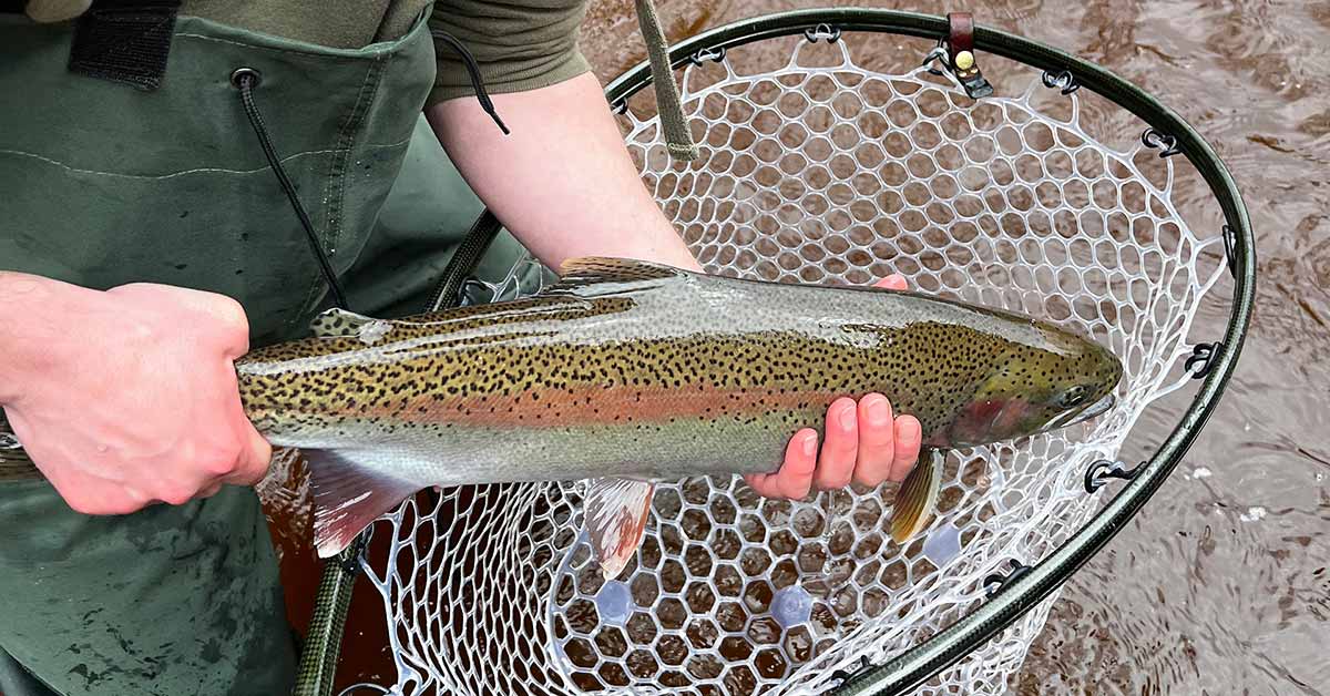 Lake Superior South Shore 10122023 AnglingBuzz