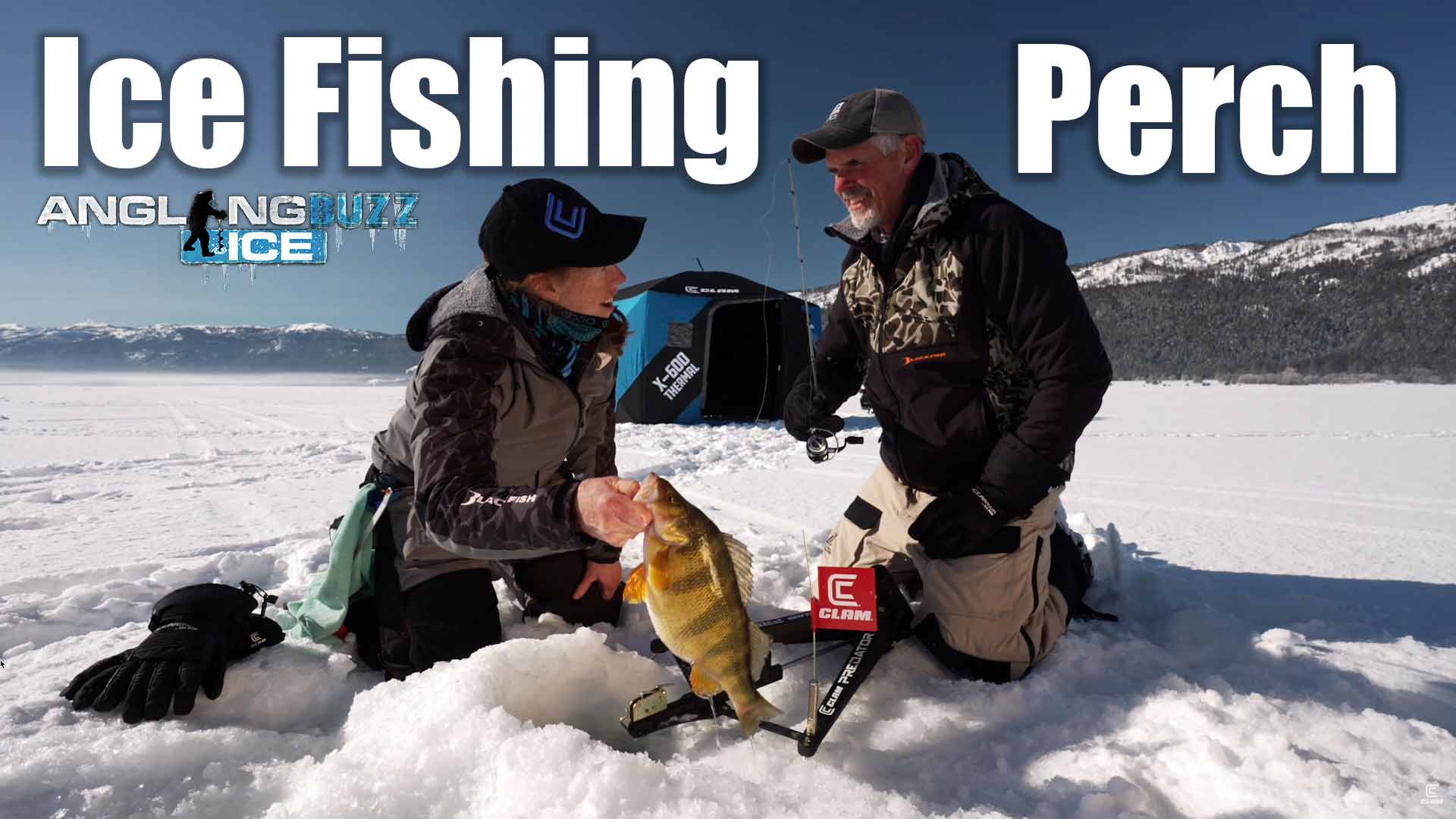 Ice Fishing Perch AnglingBuzz