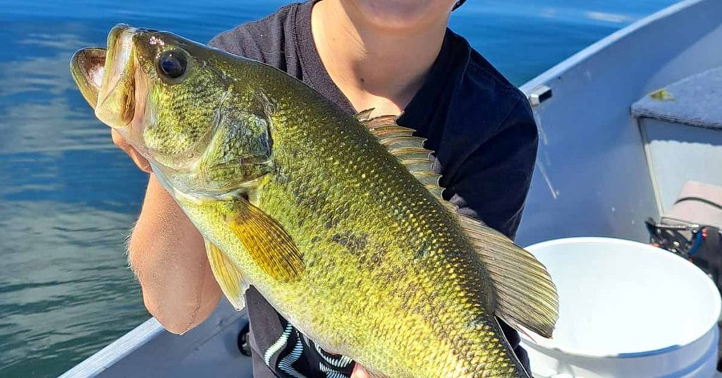 Alexandria Minnesota Fishing Report 61124 AnglingBuzz