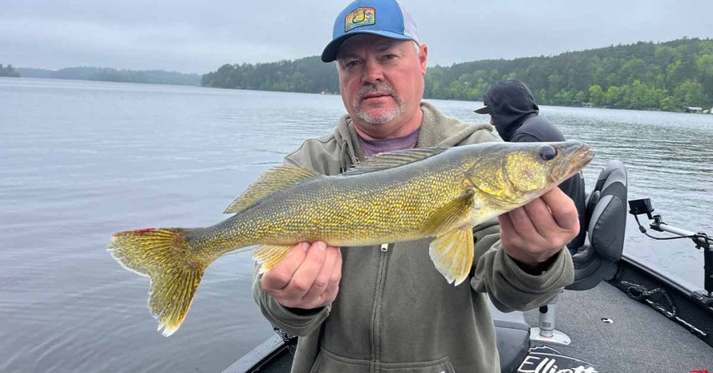 Lake Vermilion Fishing Report 71224 AnglingBuzz