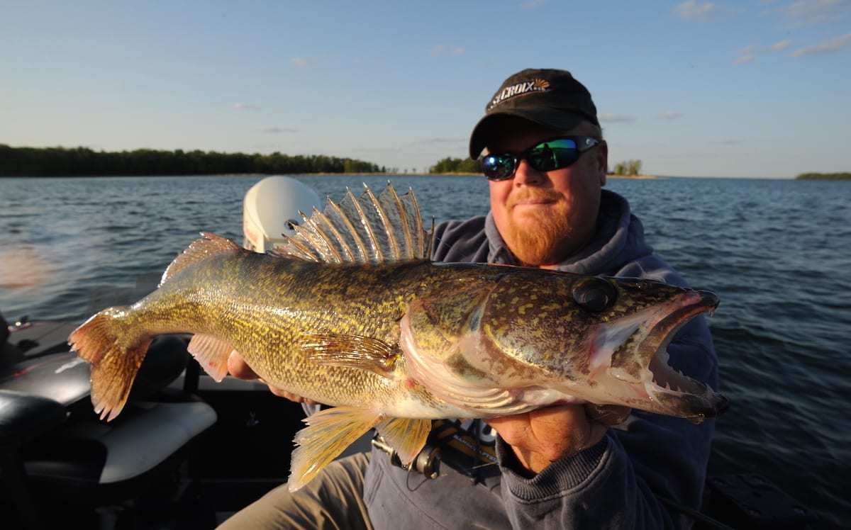 Summer Walleyes Favorite Techniques From the Pros!