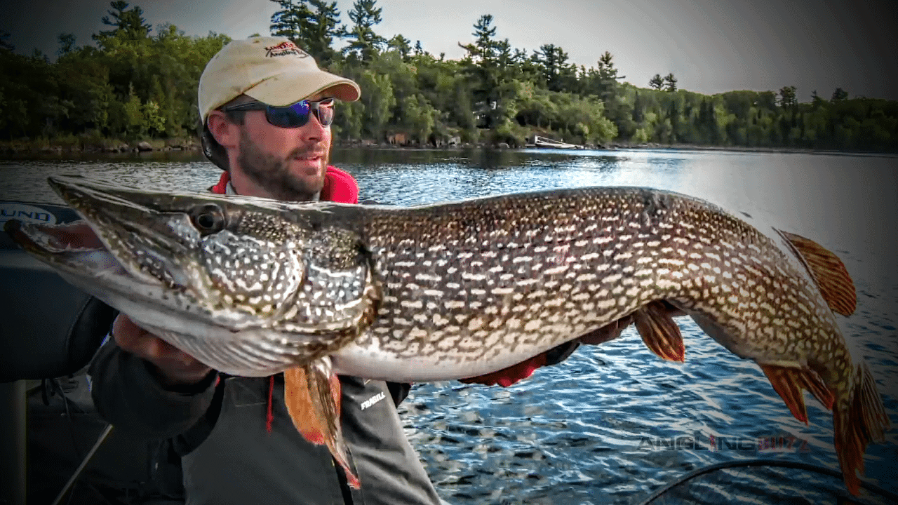 Northern Pike Seasonal Movements Summer, Fall and Winter