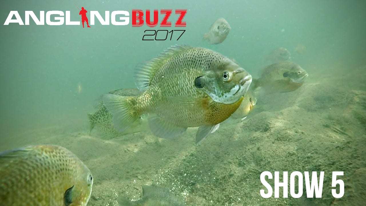 Fishing Made Easy AnglingBuzz Television Show