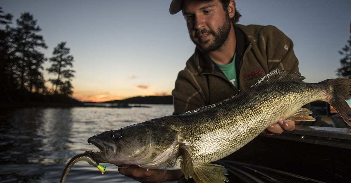 5 Presentations for Early Season Walleyes from Northland