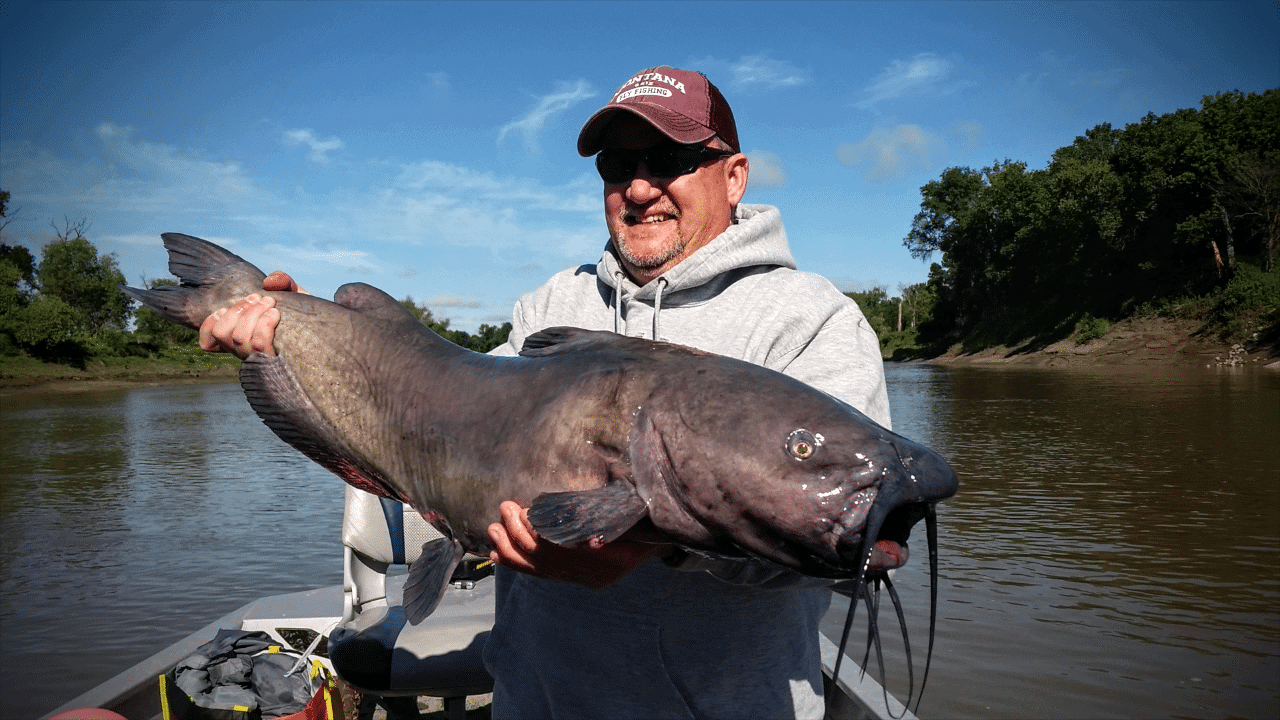 Red River (ND) Catfish Report Brad Durick