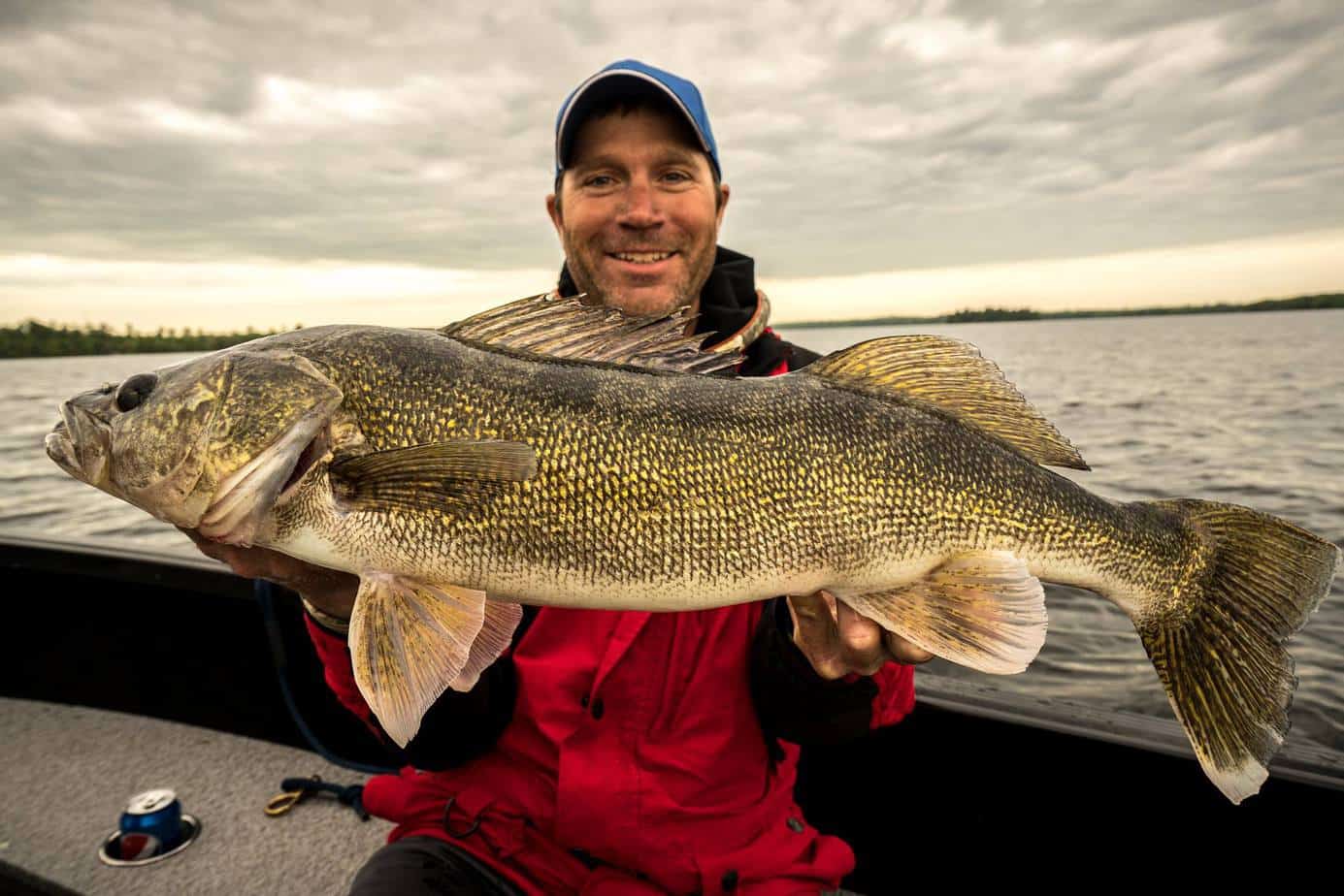 Minnesota fishing reports dnr