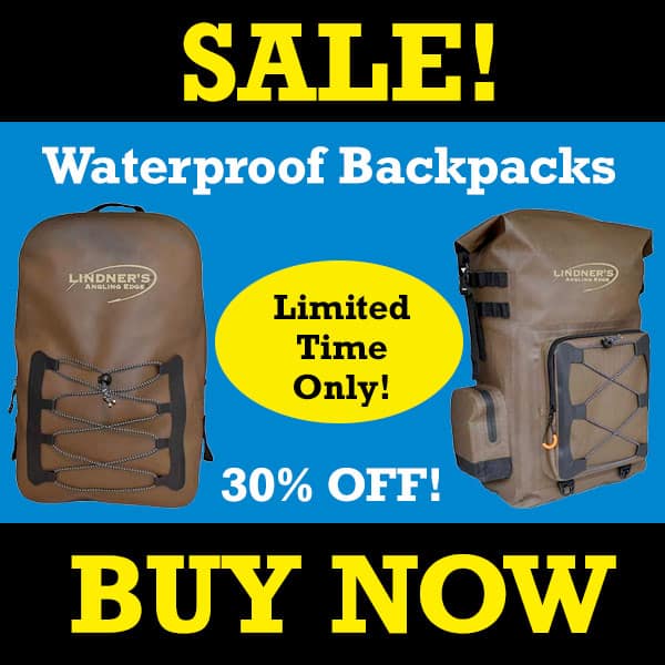 How To Fillet Perch With Electric Knives AnglingBuzz