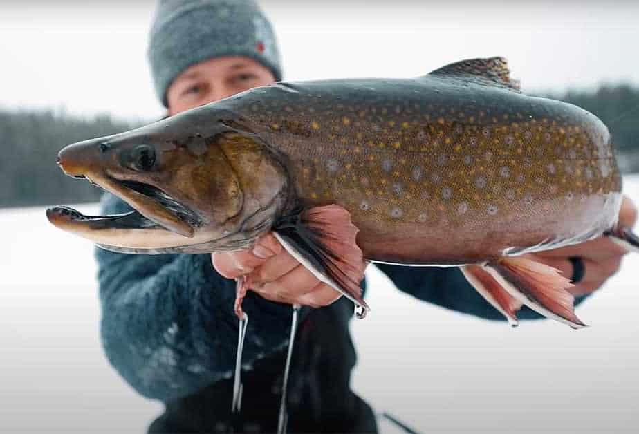 Incredible Ice Fishing In Manitoba’s Northern Region AnglingBuzz