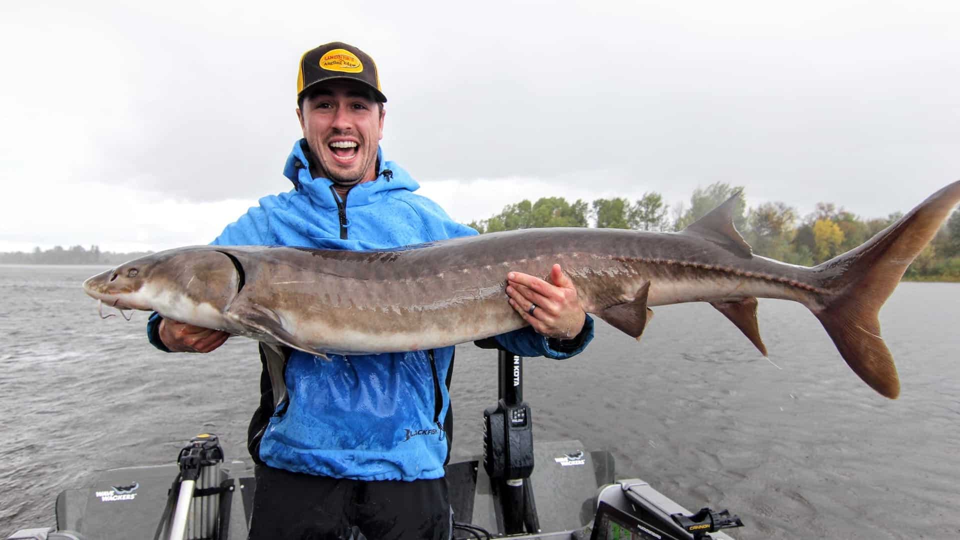 How to Catch Sturgeon Secrets Angling Edge