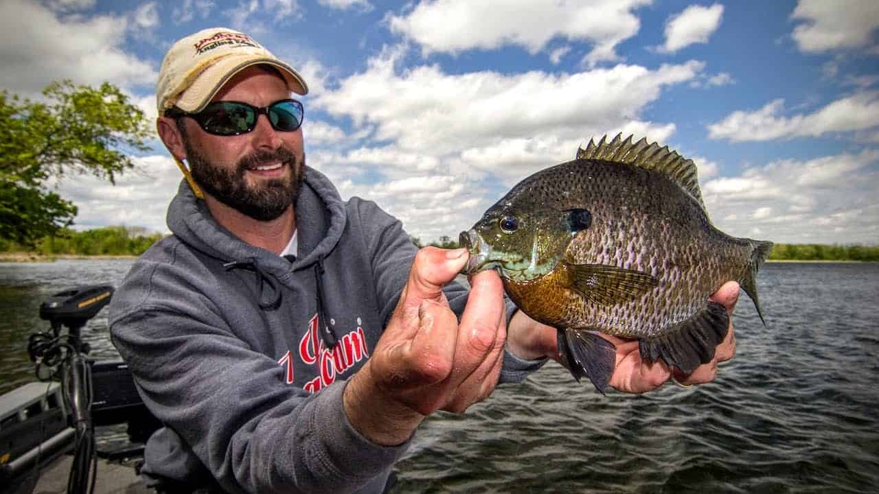 Panfish 101 Angling Edge