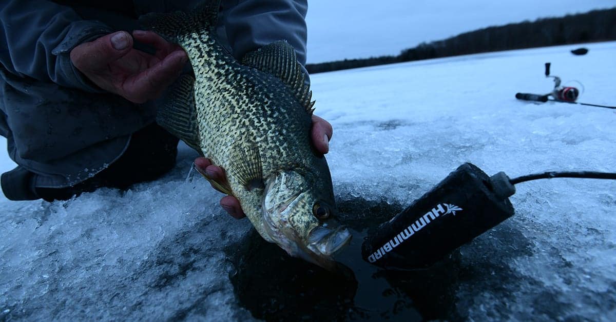 Finding Winter Crappies Angling Edge