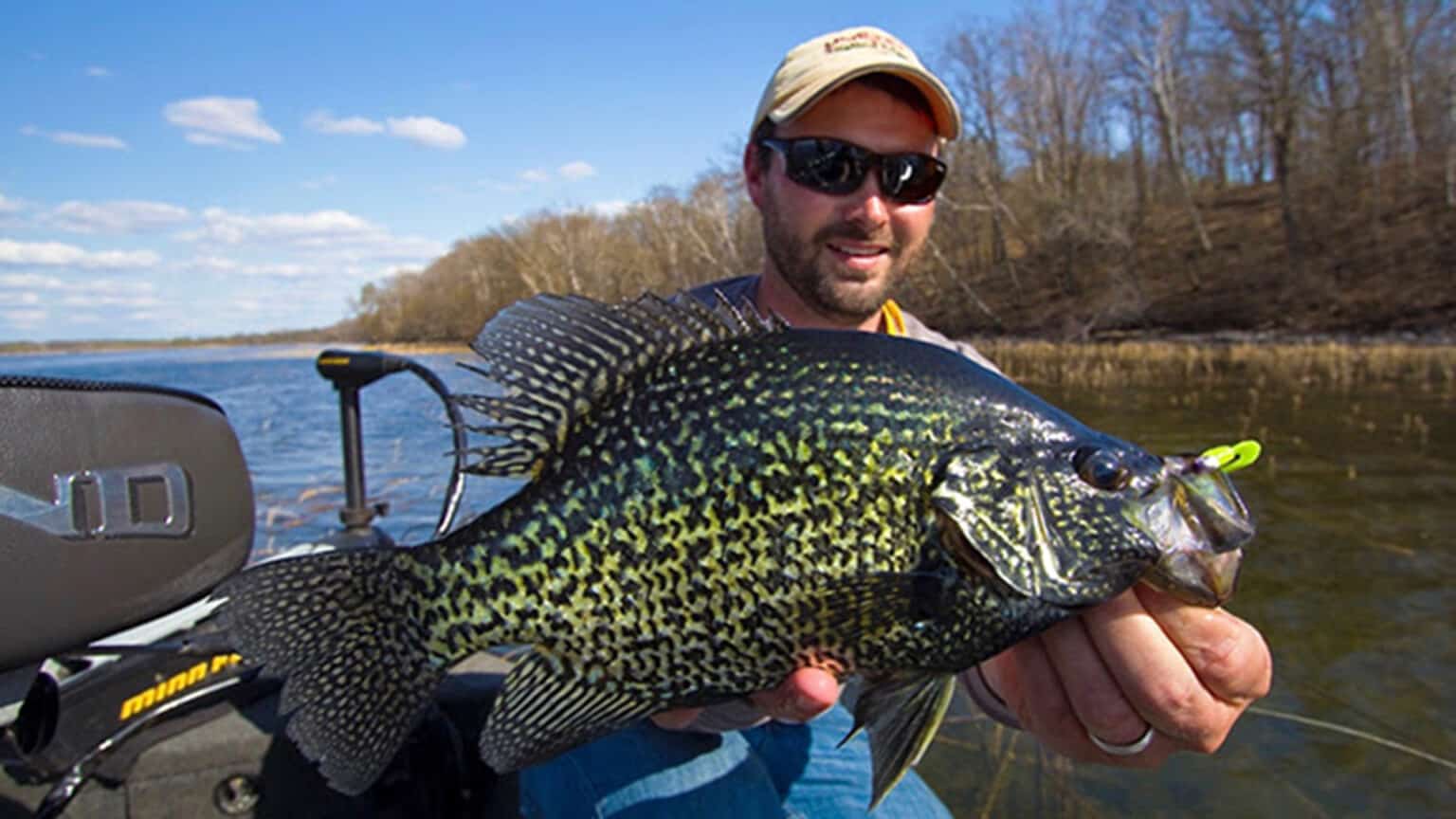 St. Croix Panfish Rods Early Season Panfish Angling Edge