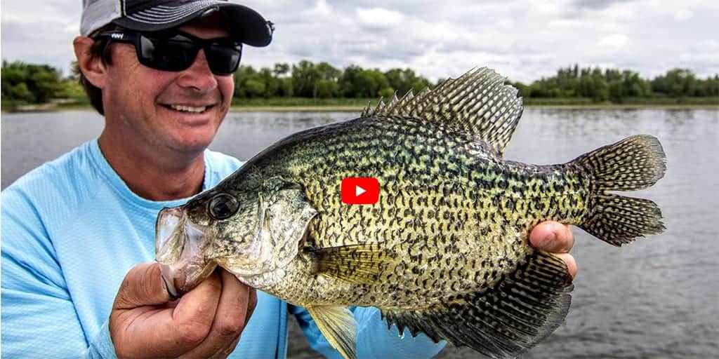 PANFISH Panfish Videos Tips & Tricks Angling Edge