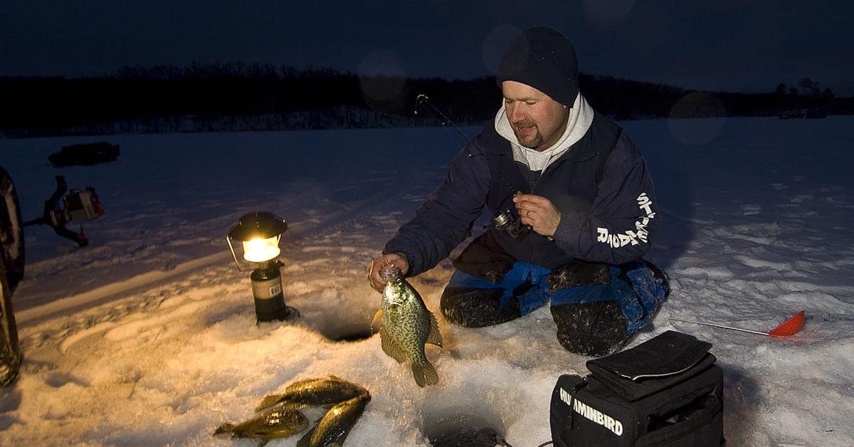 PANFISH Panfish Videos Tips & Tricks Angling Edge