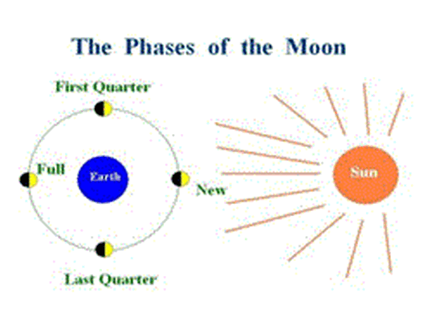 Moontime Carp Moon Phases and the Effect on Carp Fishing Part 1