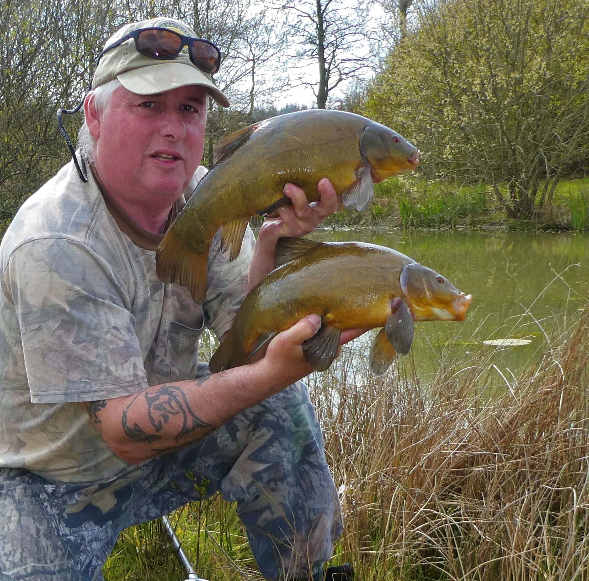 Tench Fishing The Future Angling Trust