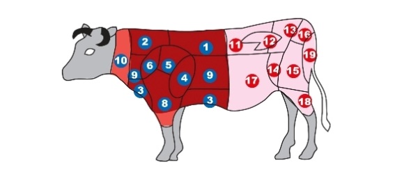 Kosher Meat Diagram