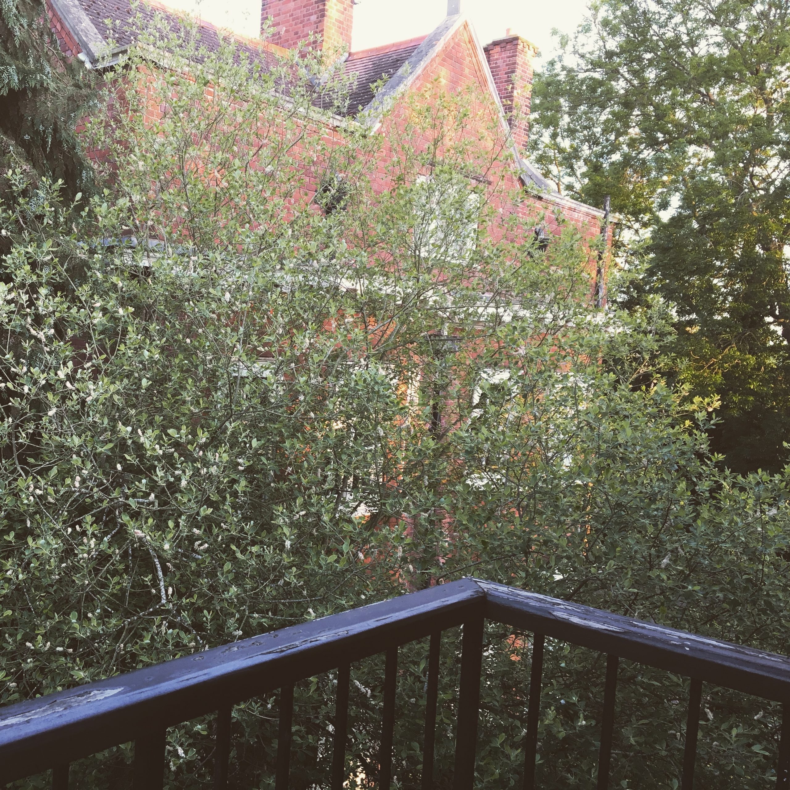 Anglotopia Goes to the Royal Wedding Review of the Lovely Flat I