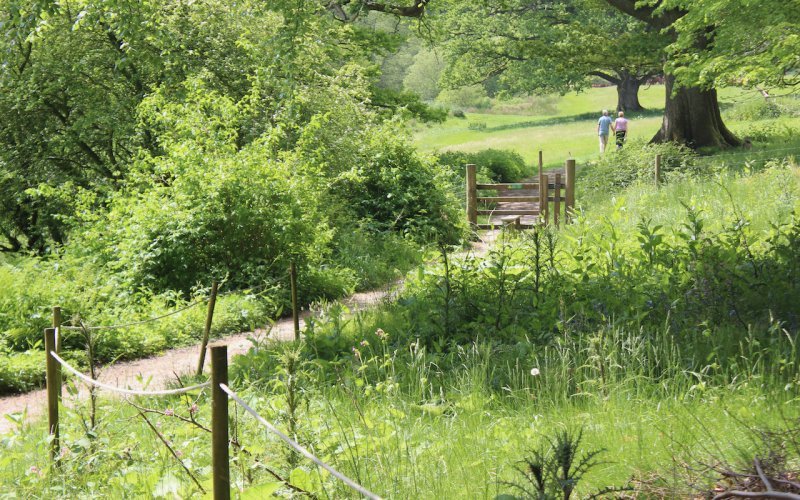 Let's Go For a Spring Walk Around Stourhead House and Gardens