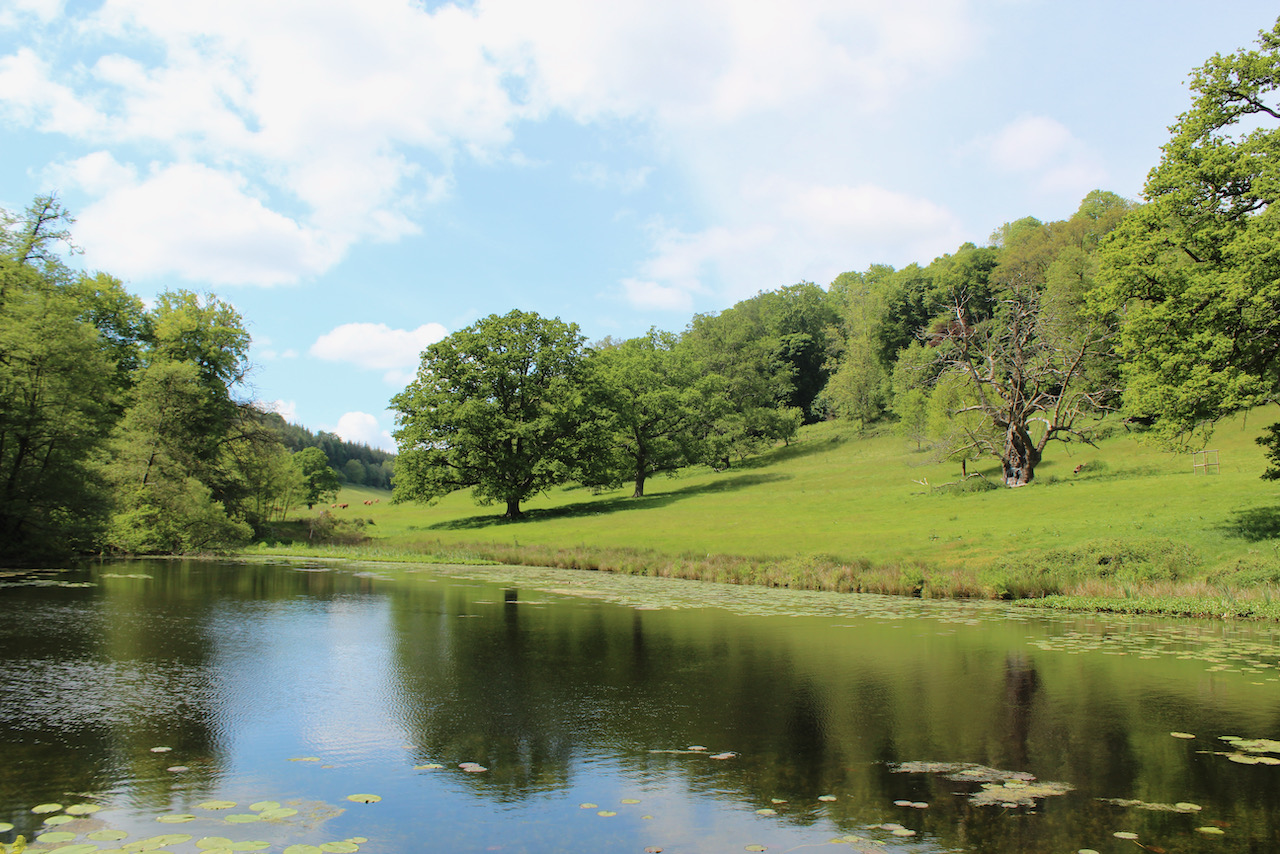Let's Go For a Spring Walk Around Stourhead House and Gardens