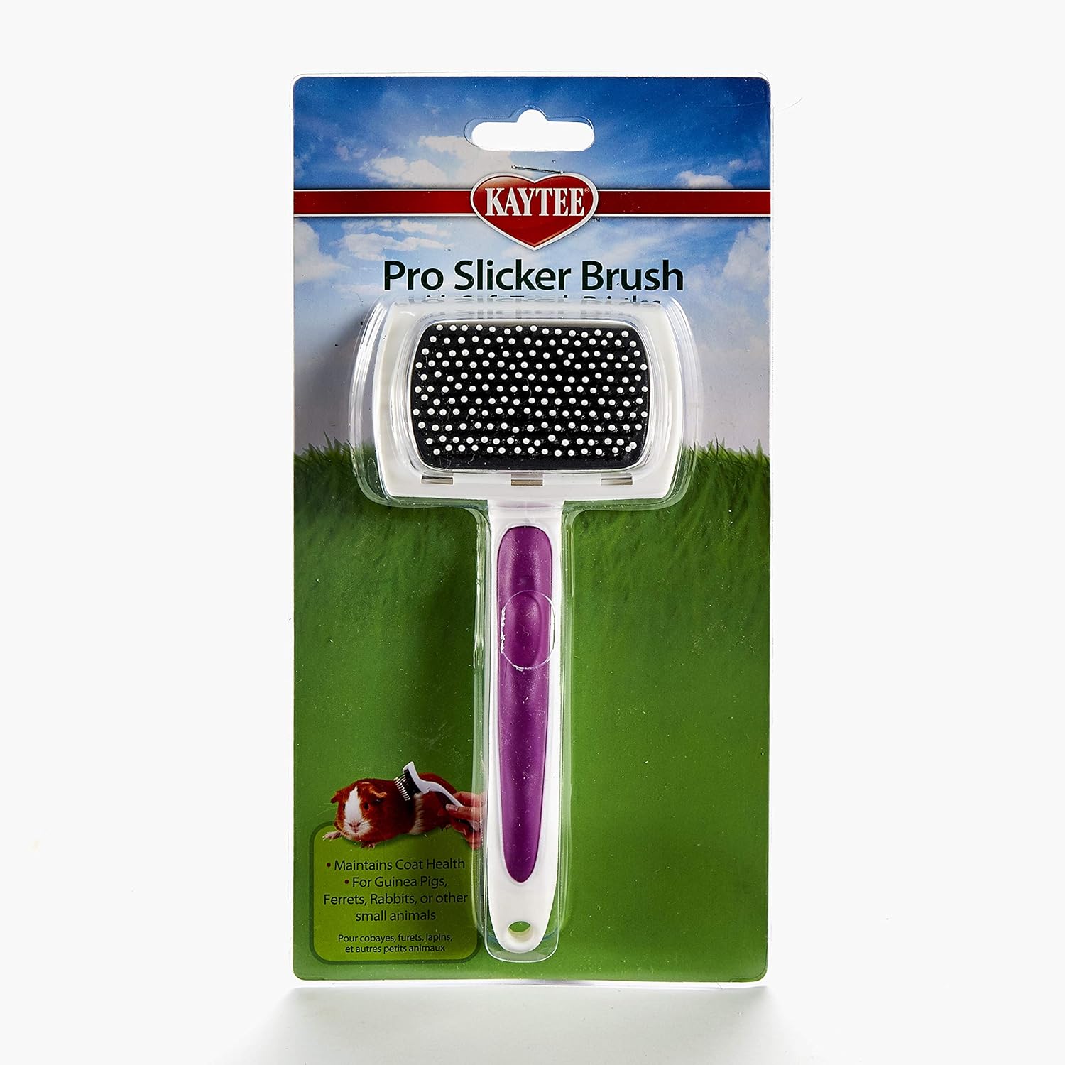 Secret to Perfect Grooming Best Brush for Angora Rabbits Angora Rabbits