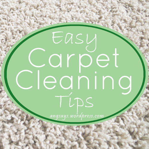 Carpet Cleaning Tips For Everyday Use Angela Says
