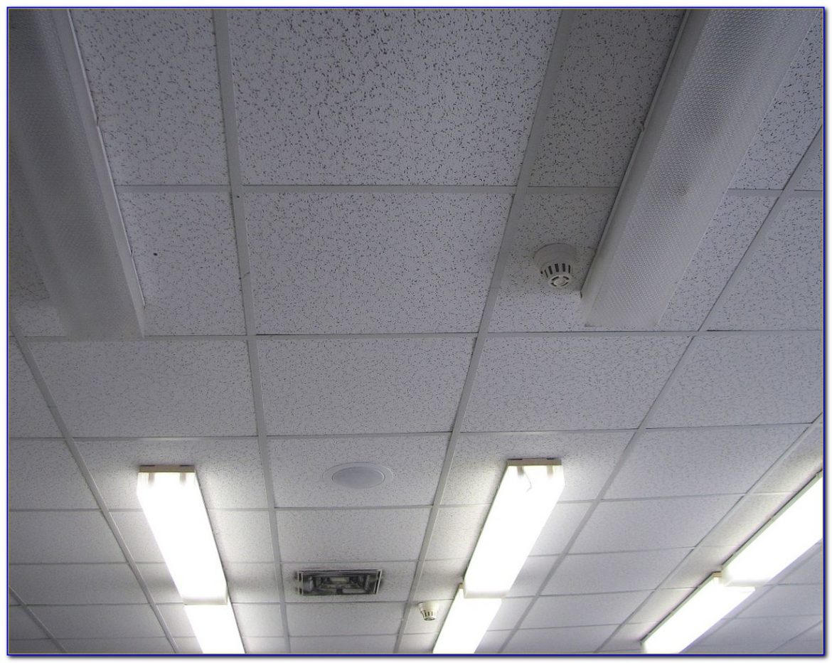 Drop In Ceiling Tile Types