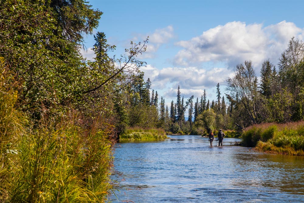 Alaska Fly Fishing Aniak River Lodge