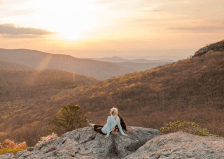 10 PetFriendly Hikes Perfect for Springtime in Virginia Anicira