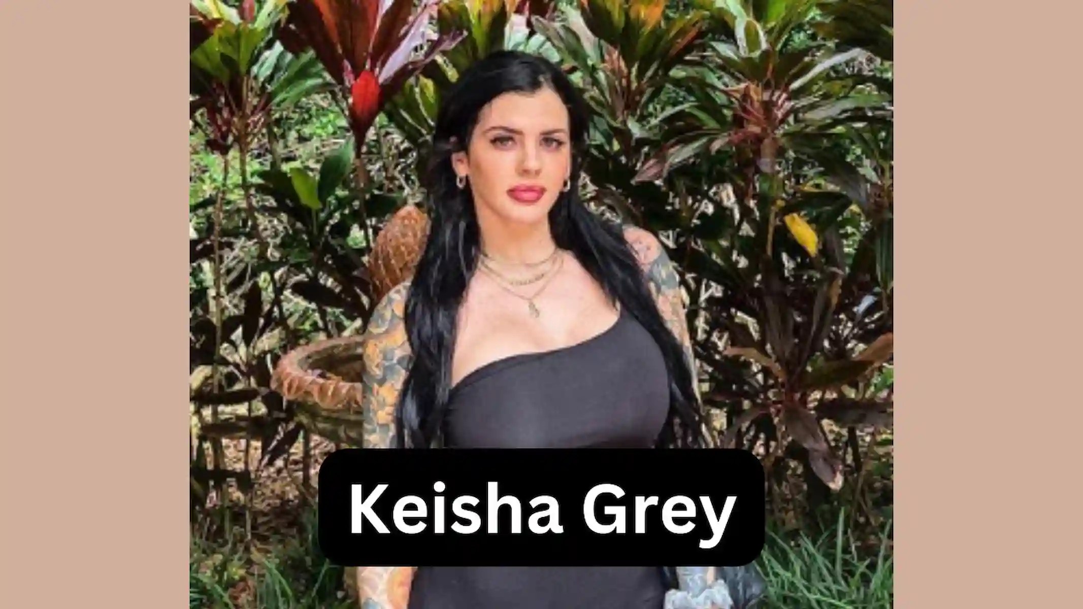 Keisha Grey Husband, Bio, Wiki, Age, Net Worth, Biography, Biografia