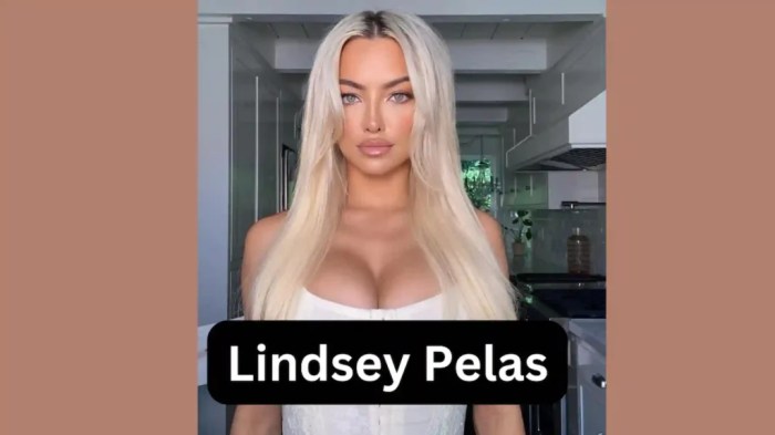 Lindsey Pelas Bio, Wiki, Age, Net Worth, Boyfriend, Husband, Married? Lindsey pelas net worth 2021
