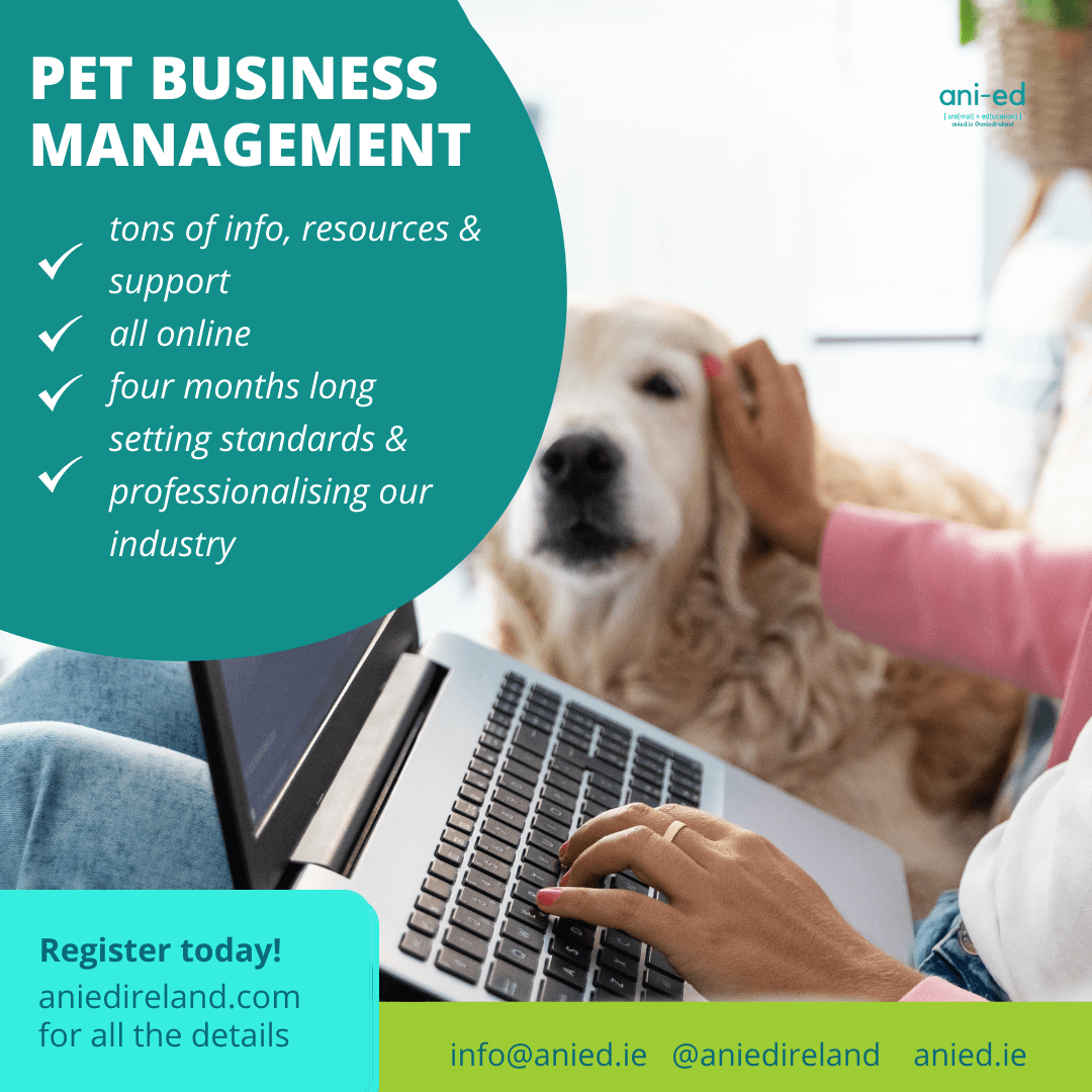 Online Course Pet Business Management AniEd Ireland