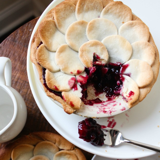 Blue Ribbon Blueberry Pie A Night Owl Blog