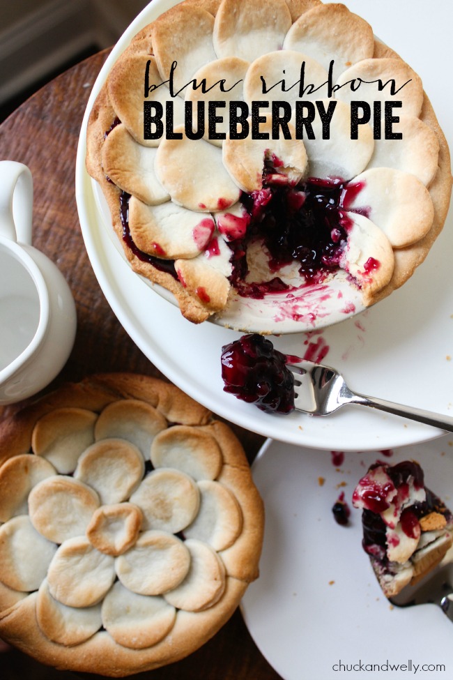 Blue Ribbon Blueberry Pie A Night Owl Blog