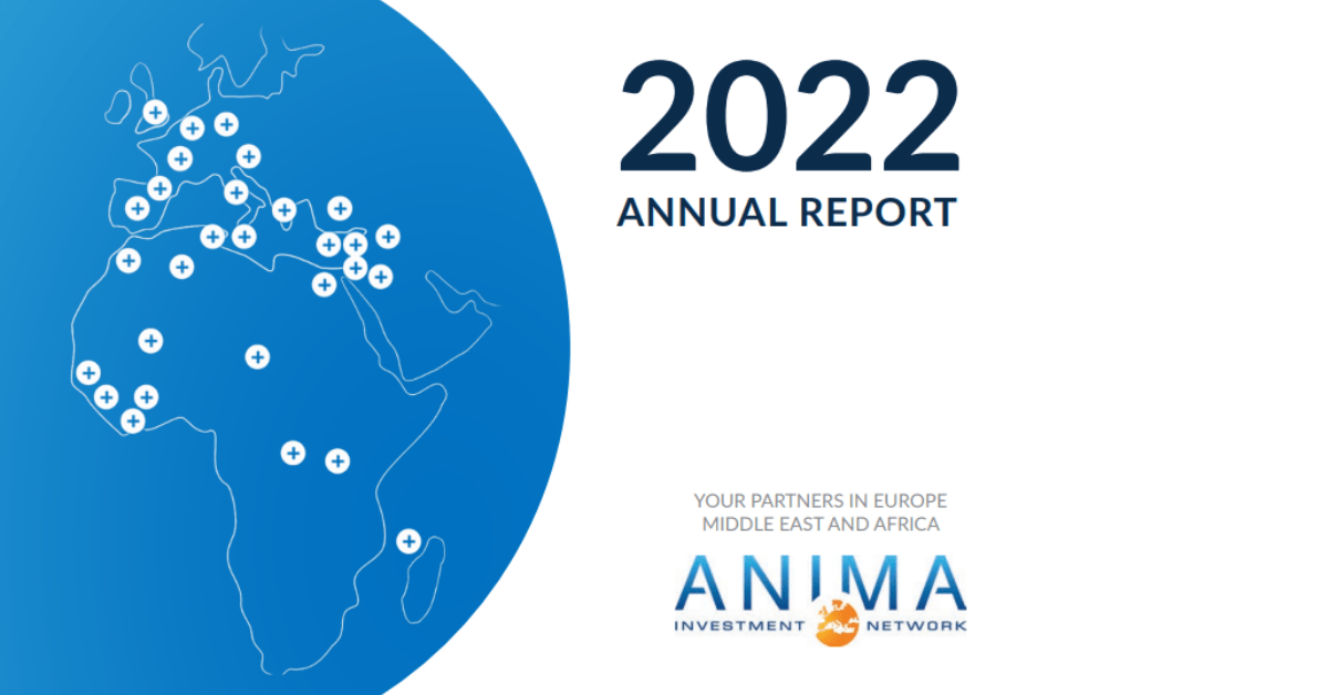 Publications ANIMA Investment Network