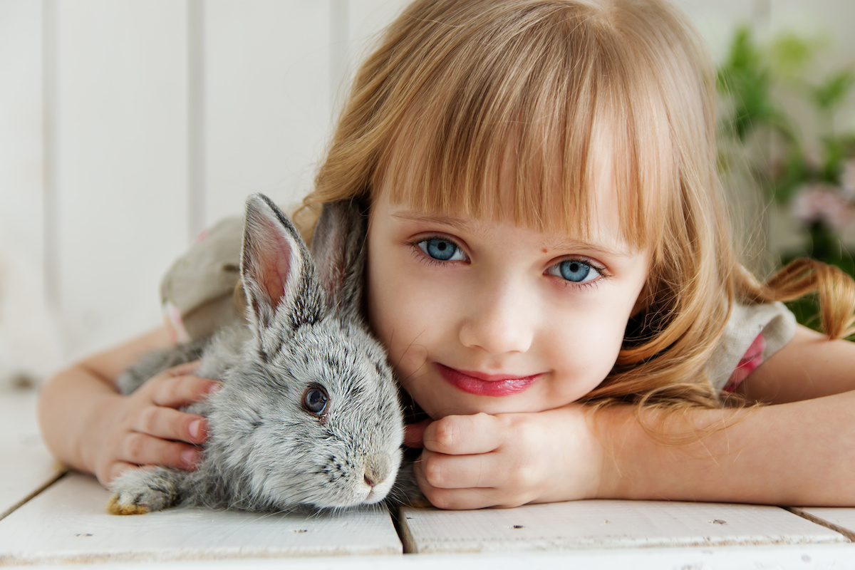 How to Take Care of a Pet Rabbit The Essential Guide Animal Care Center
