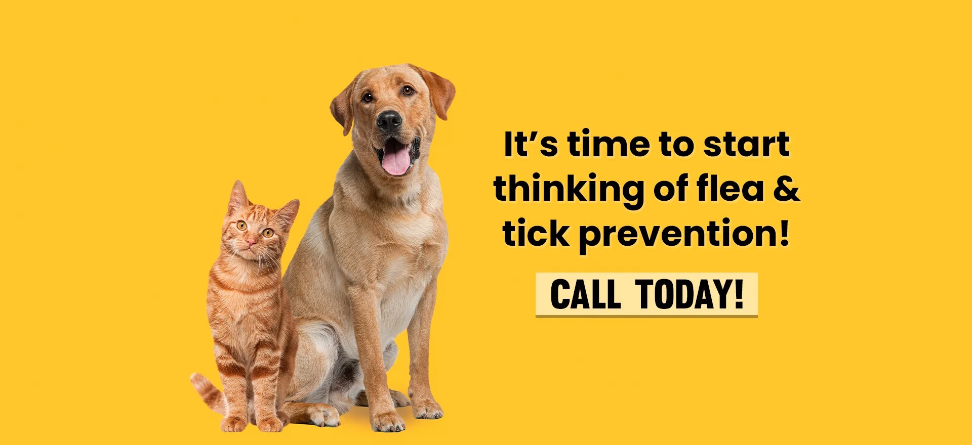 Vet Clinic in Oradell & Emerson, NJ Animal Care of Oradell