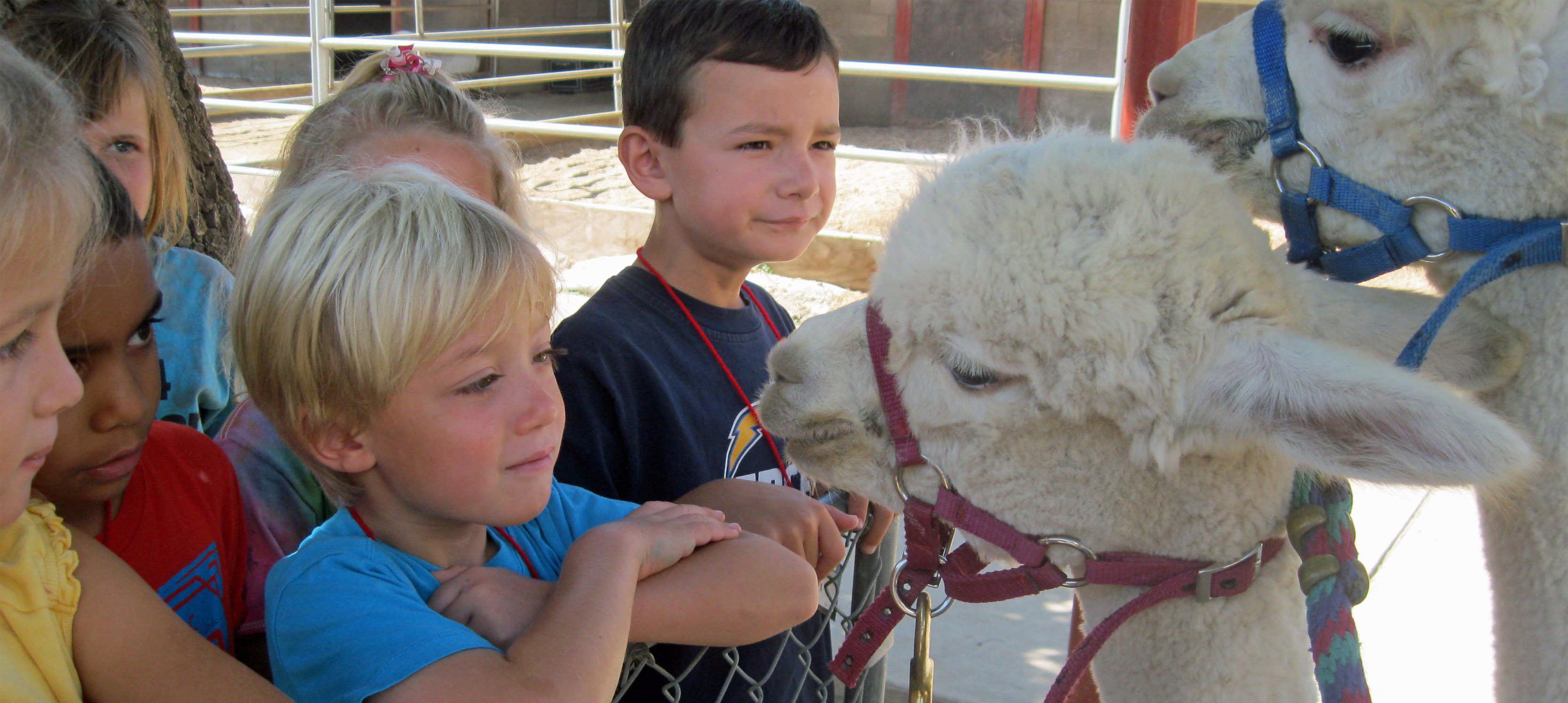 header Helen Woodward Animal Center