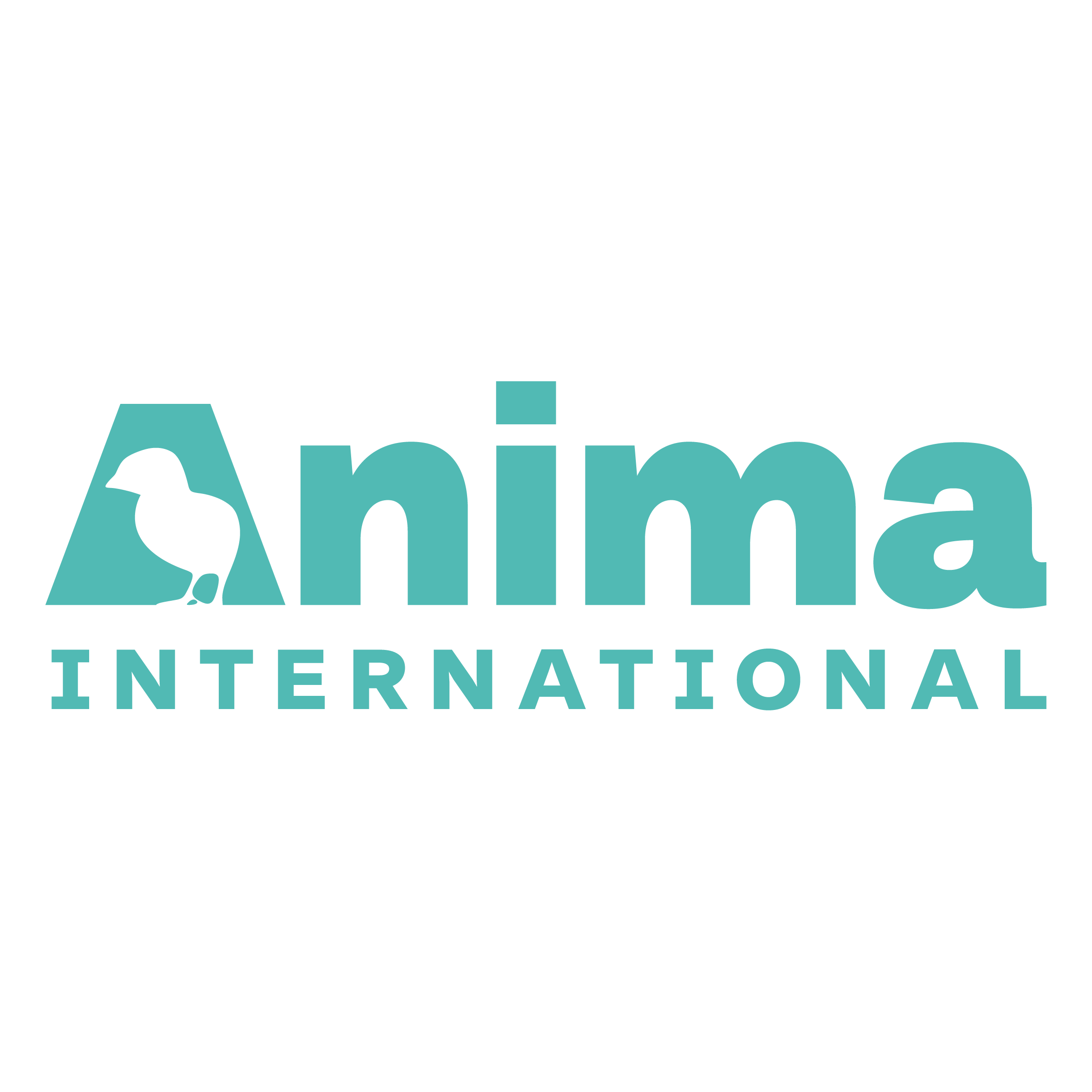 Anima International Review Animal Charity Evaluators