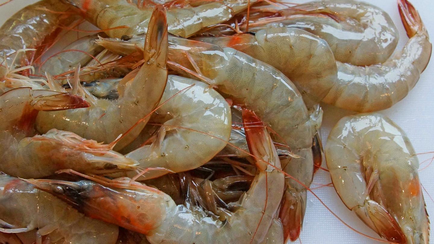 8 TopRated Difference Between Crawfish and Shrimp with Similarities