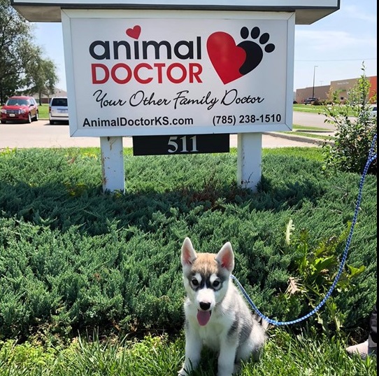 Garden City Animal Control Ks Fasci Garden