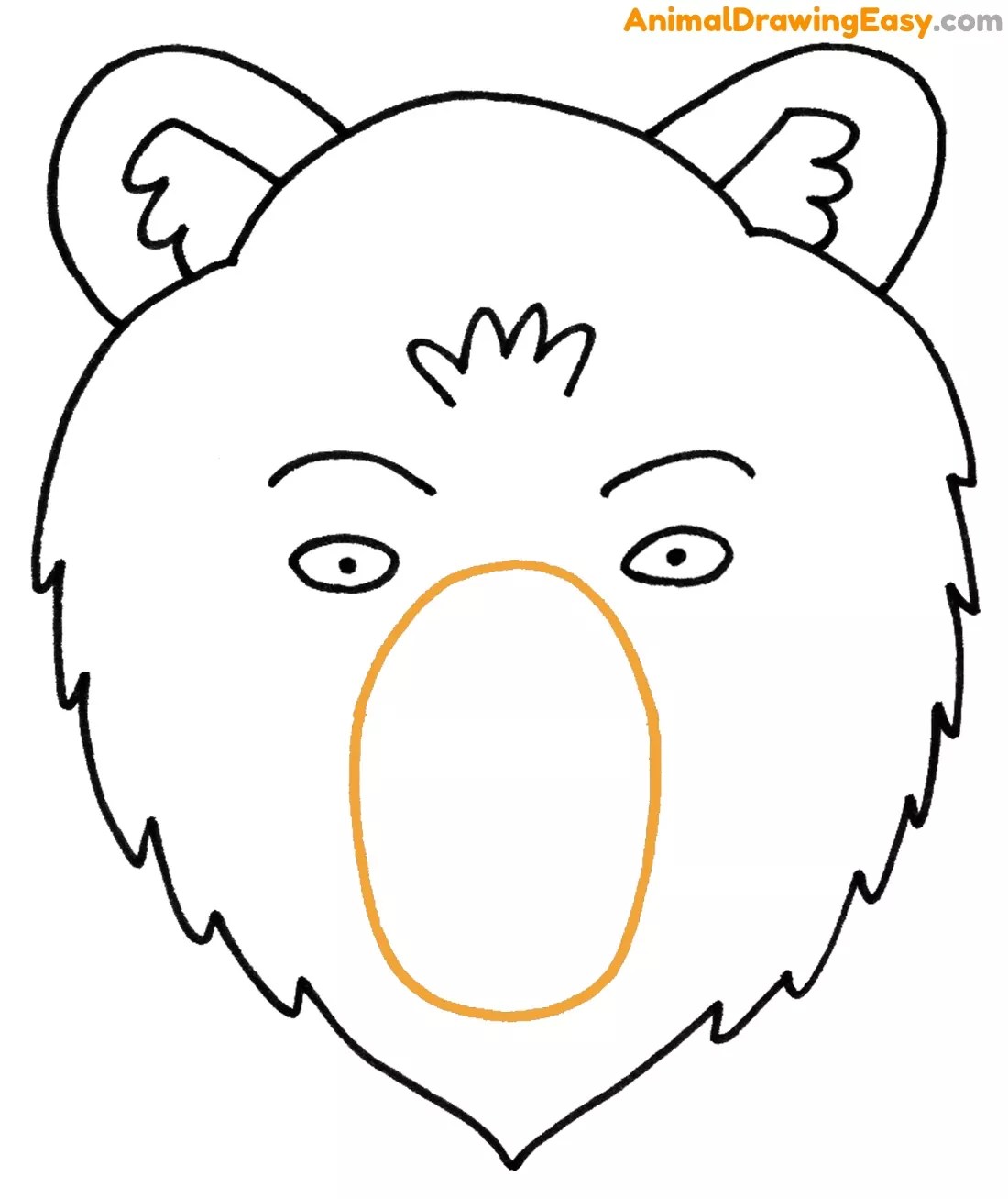 How to Draw a Bear Face