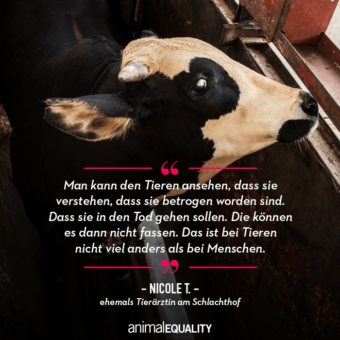 Im Interview Mit Nicole T Ehemals Tierarztin Am Schlachthof Animal Equality Germany