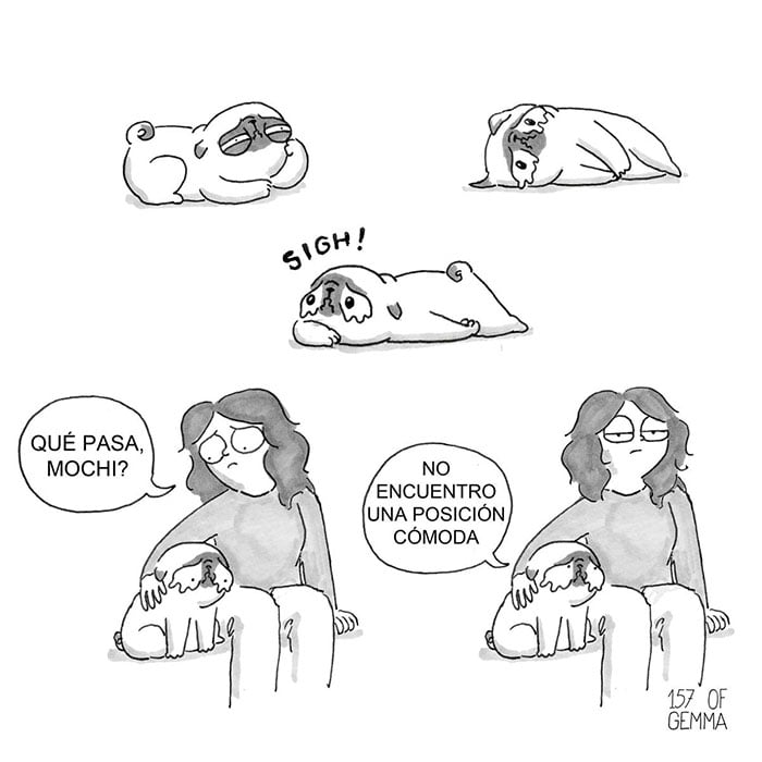 Perro se queja Animales Queridos