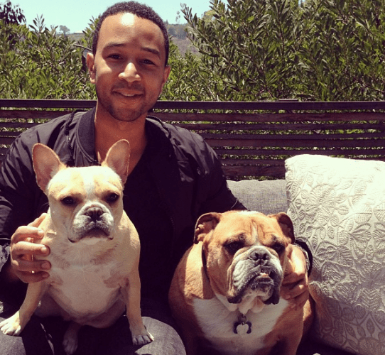 Golden Globe Winner John Legend And Supermodel Chrissy Teigen Adopted a