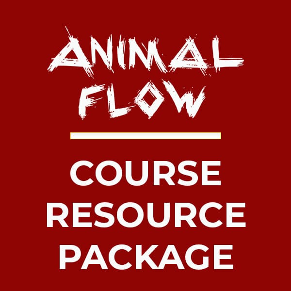 International Students Archives Animal Flow
