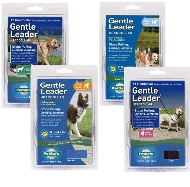 premier gentle leader head dog collar