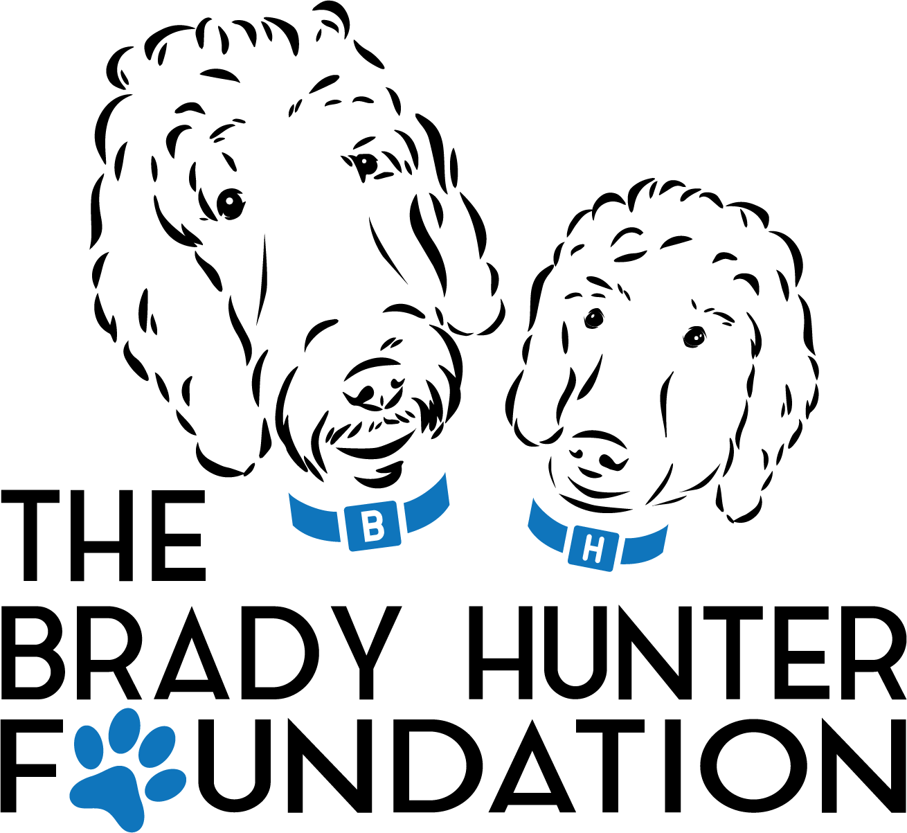 Underdog Adoption Initiative Animal Haven